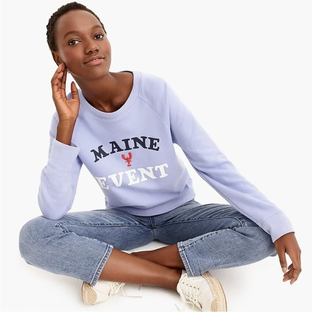 J. Crew Light Blue Crew Neck Sweater